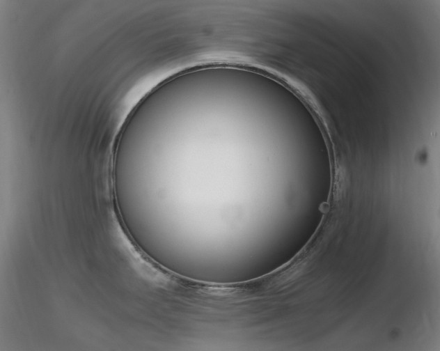 X0000116821295200912181359