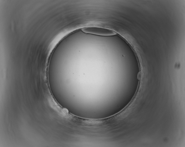 X0000116821296200912181359