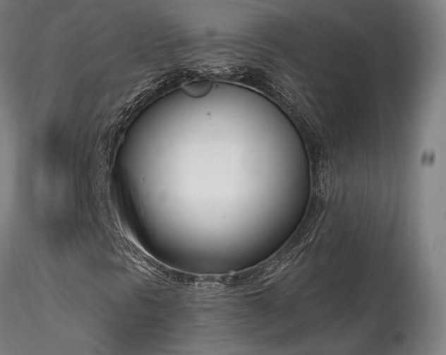 X0000116821297200912181358