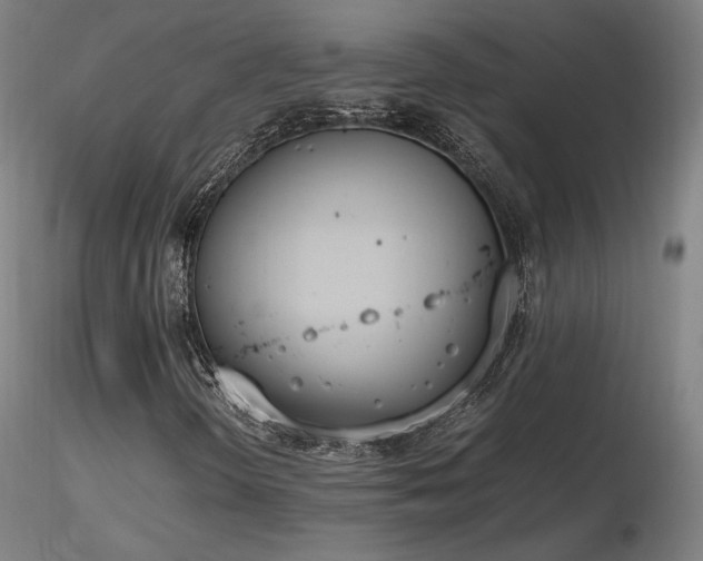 X0000116821298200912181358
