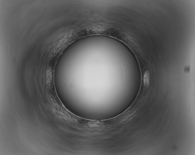 X0000116821299200912181358