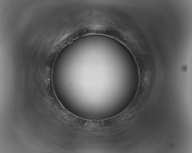 X0000116821301200912181358
