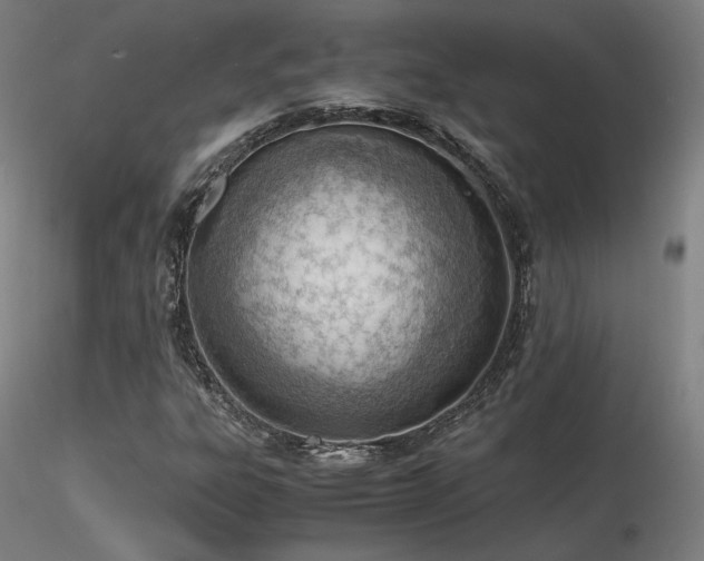 X0000116821303200912181358