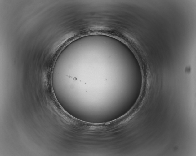 X0000116821305200912181358