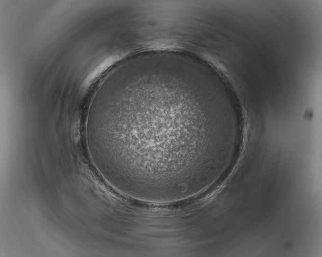 X0000116821306200912181358