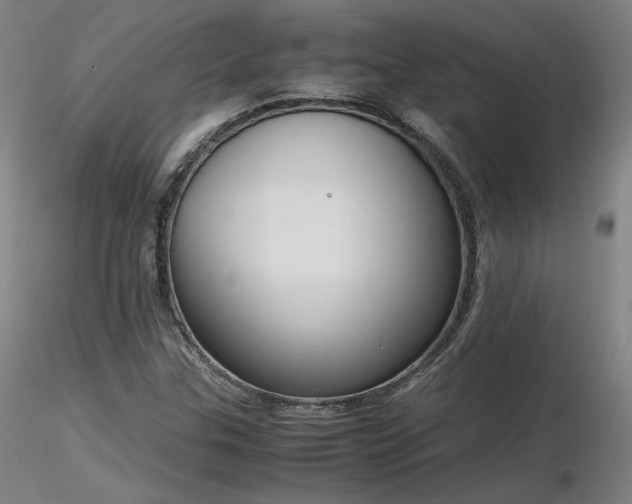 X0000116821307200912181358
