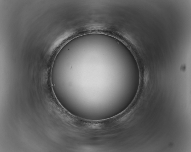 X0000116821309200912181358