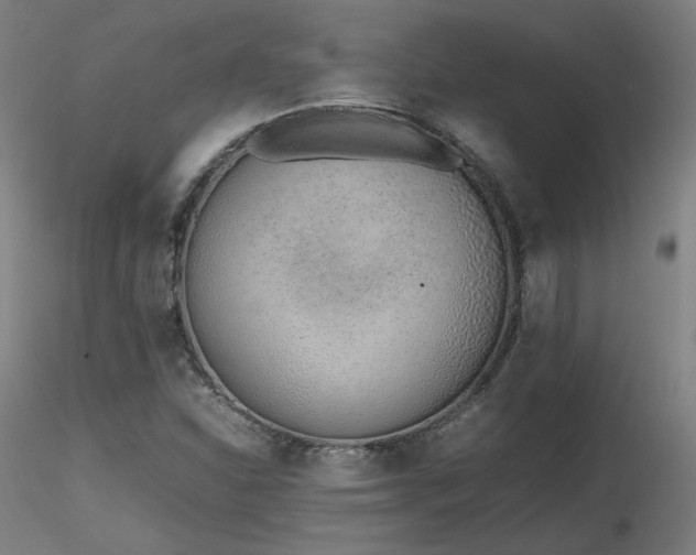 X0000116821310200912181358