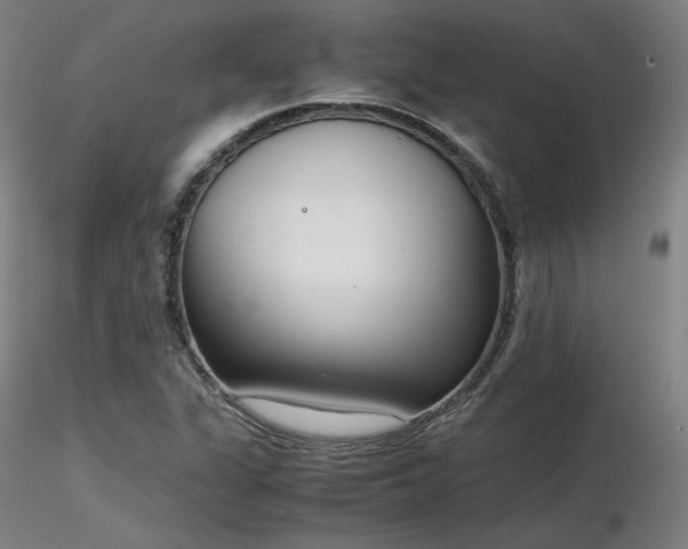 X0000116821311200912181358