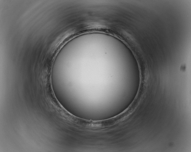 X0000116821313200912181358
