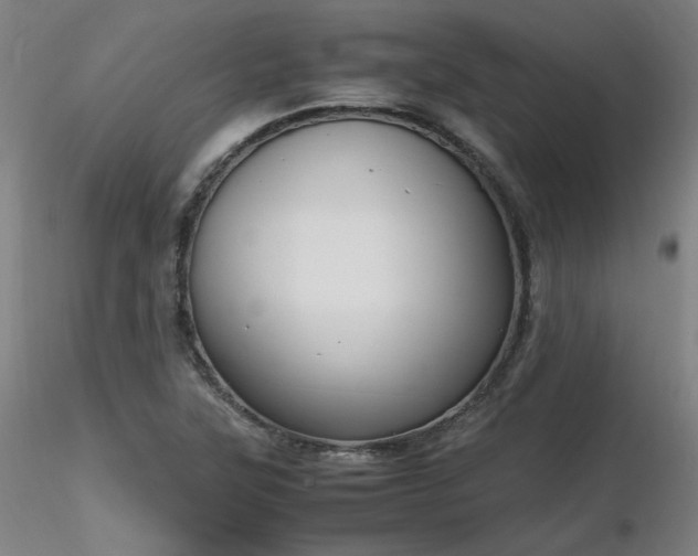 X0000116821315200912181358