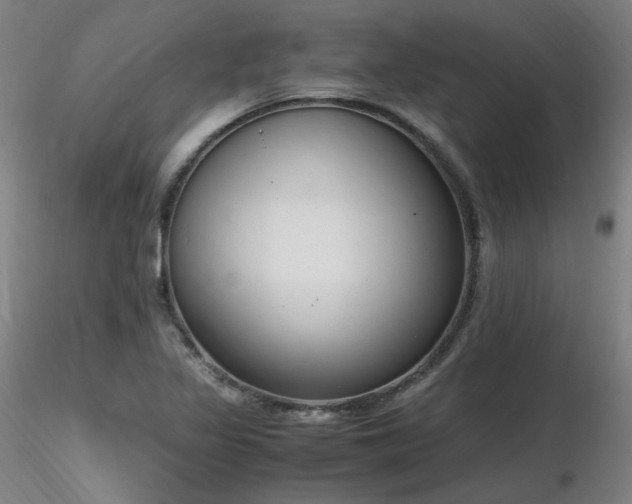 X0000116821317200912181358