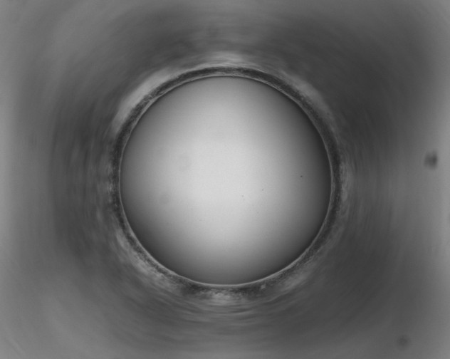 X0000116821318200912181358