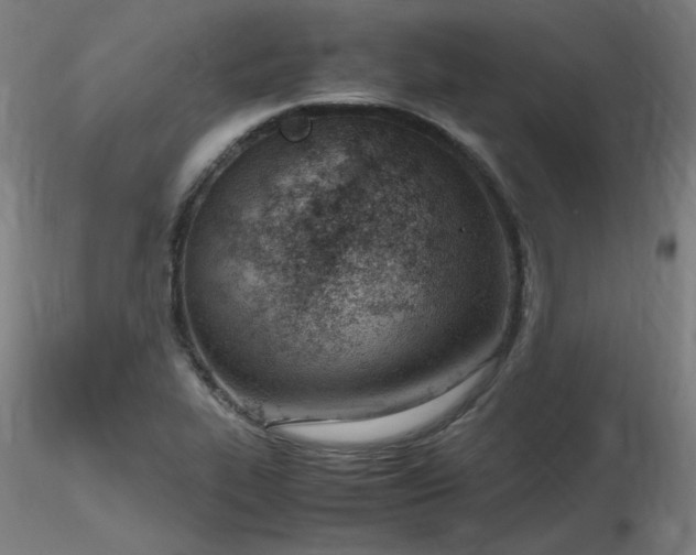 X0000116821319200912181358
