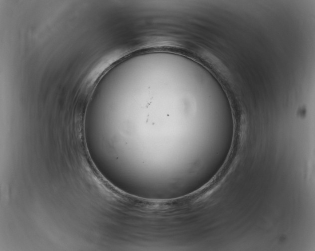 X0000116821321200912181358