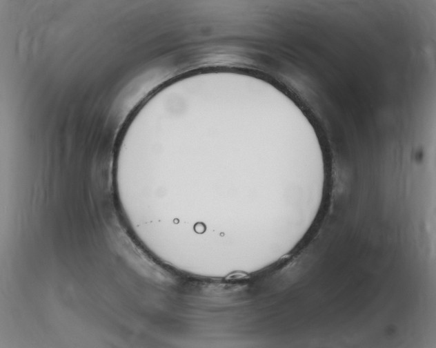 X0000116821322200912181358