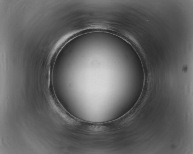 X0000116821323200912181358