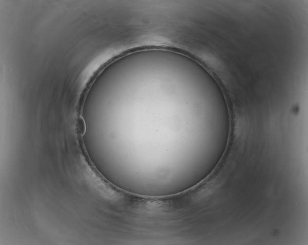 X0000116821326200912181358