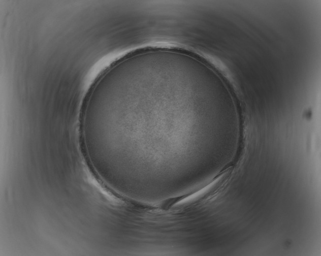 X0000116821327200912181358