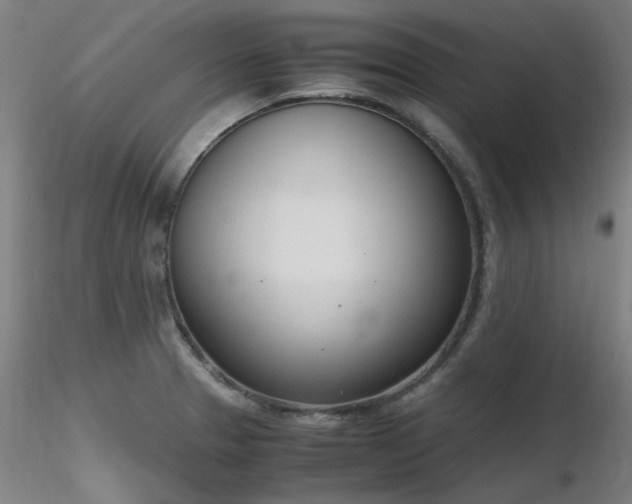 X0000116821329200912181358
