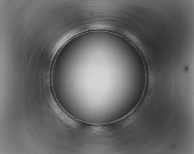 X0000116821330200912181358