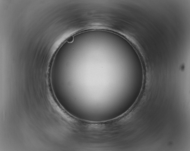 X0000116821333200912181359