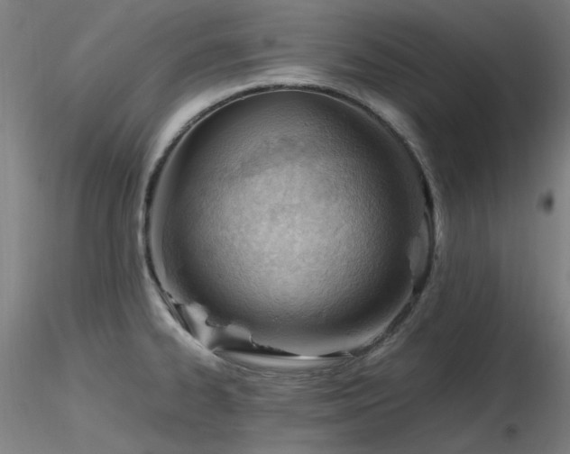 X0000116821334200912181359