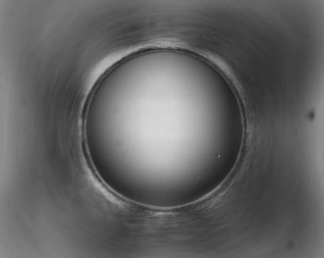 X0000116821335200912181359