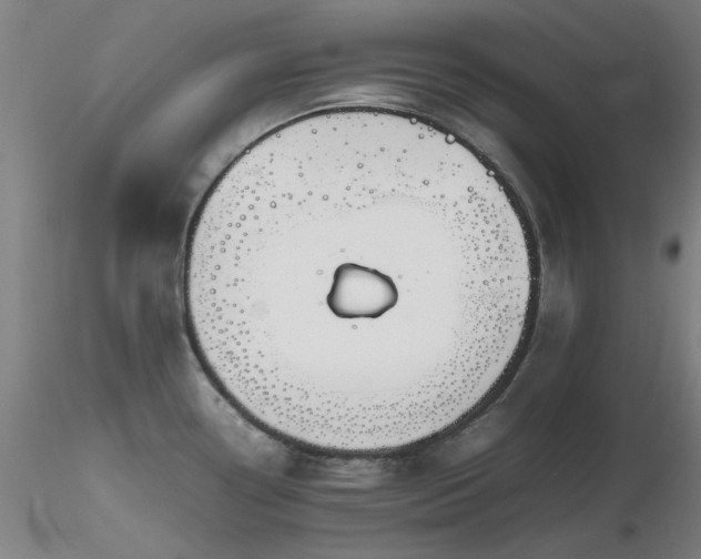 X0000116821338200912181359