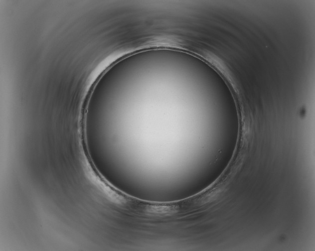 X0000116821339200912181359