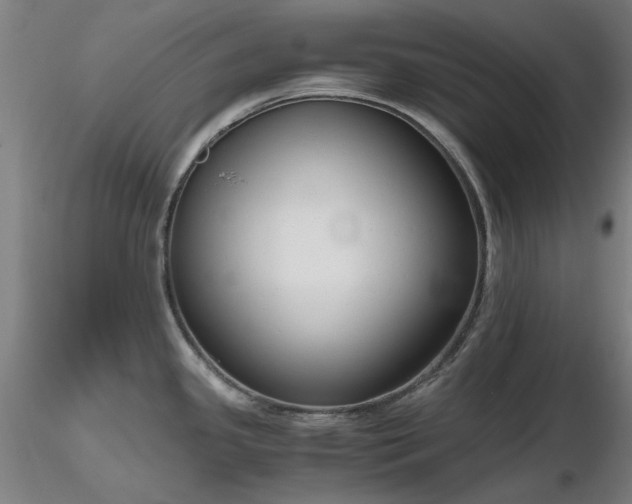 X0000116821341200912181359