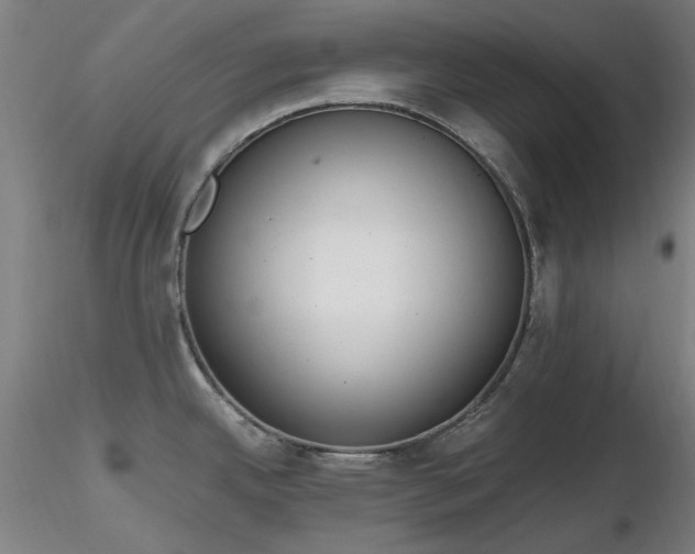 X0000116821342200912181359