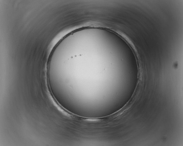 X0000116821343200912181359