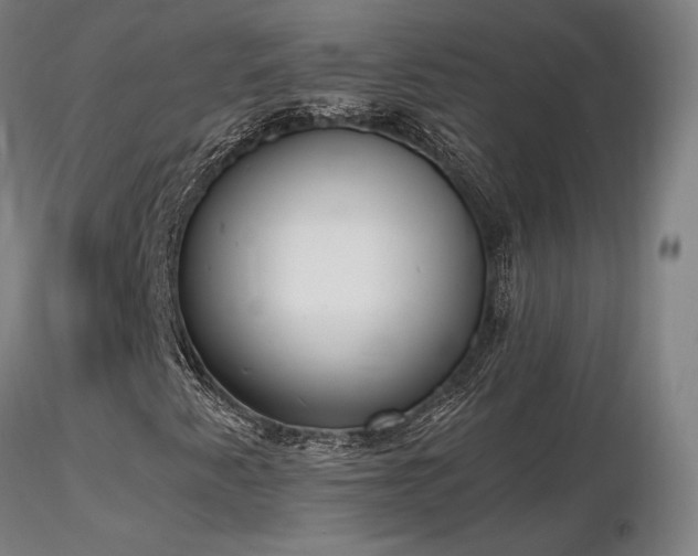 X0000116821345200912181358