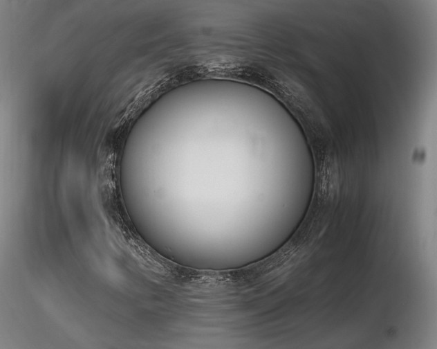 X0000116821346200912181358