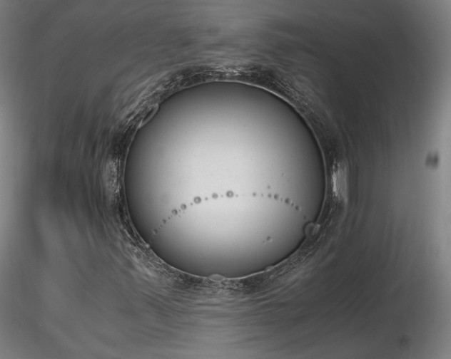 X0000116821347200912181358
