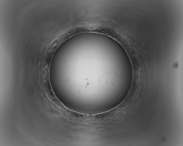 X0000116821349200912181358