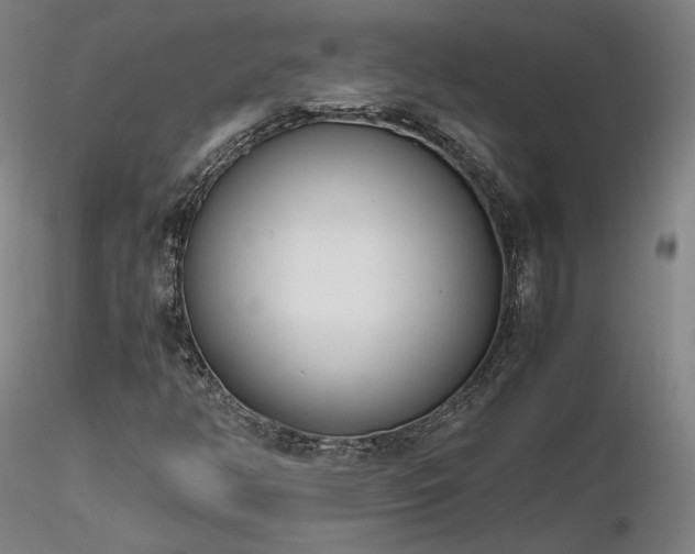 X0000116821350200912181358