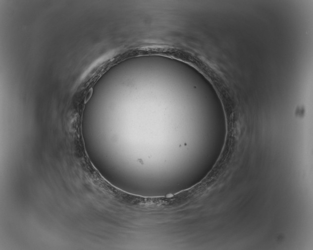 X0000116821351200912181358