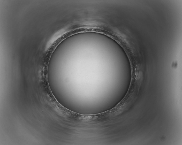 X0000116821352200912181358