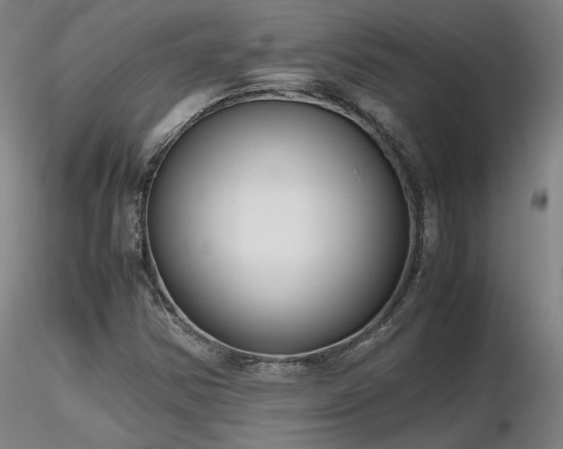 X0000116821354200912181358