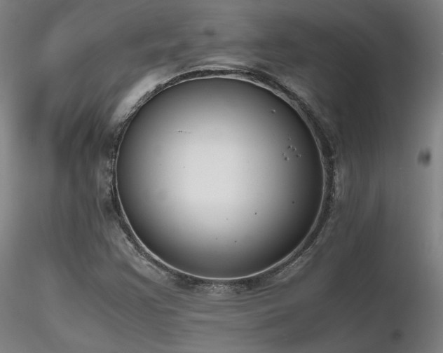 X0000116821355200912181358