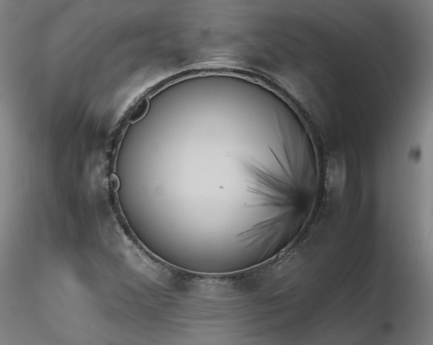 X0000116821356200912181358