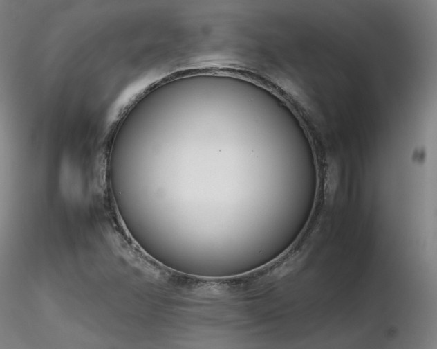 X0000116821358200912181358