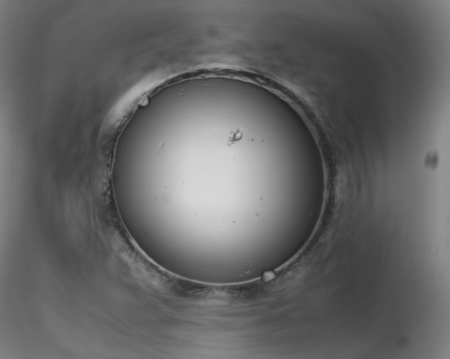 X0000116821359200912181358