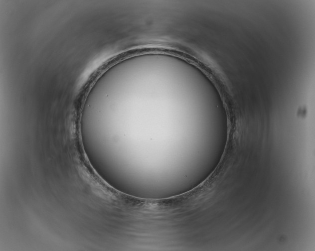 X0000116821360200912181358