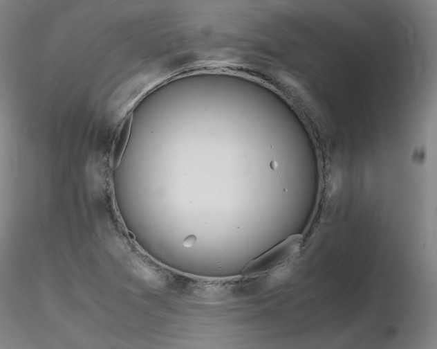 X0000116821361200912181358