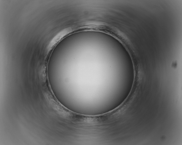 X0000116821362200912181358
