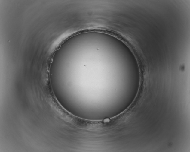 X0000116821363200912181358