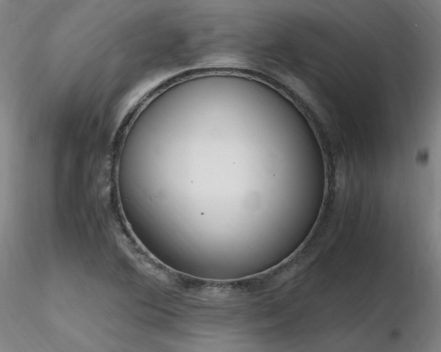 X0000116821364200912181358